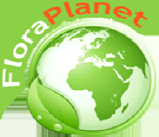 FLORAPLANET catalogue of garden companies internet websites